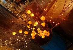 Twig Lights
